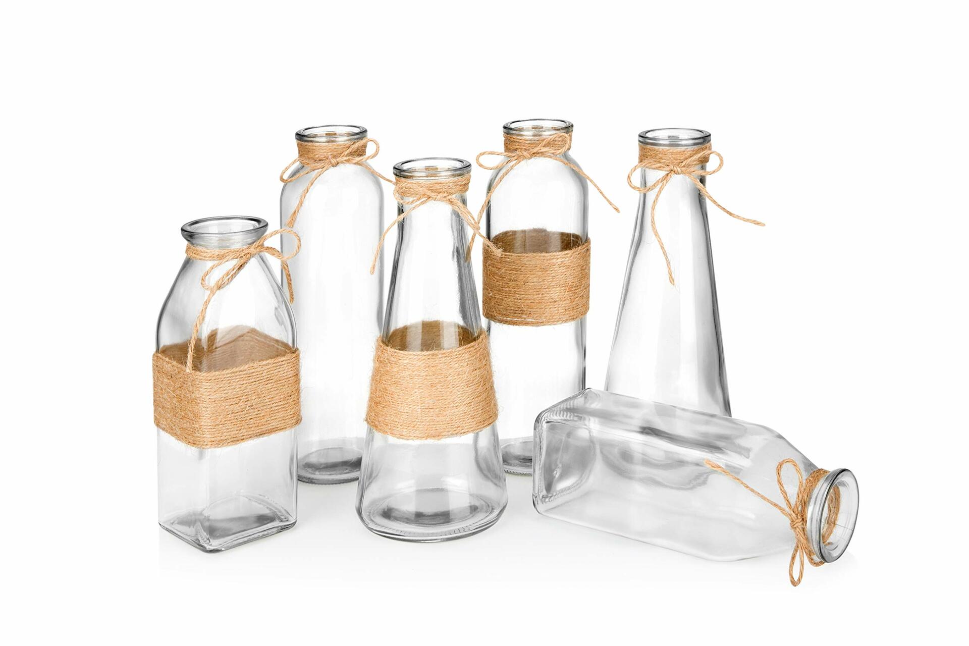 Opps Glass Vases Set of 6 Unique Shapes Creative Rope Design Clear