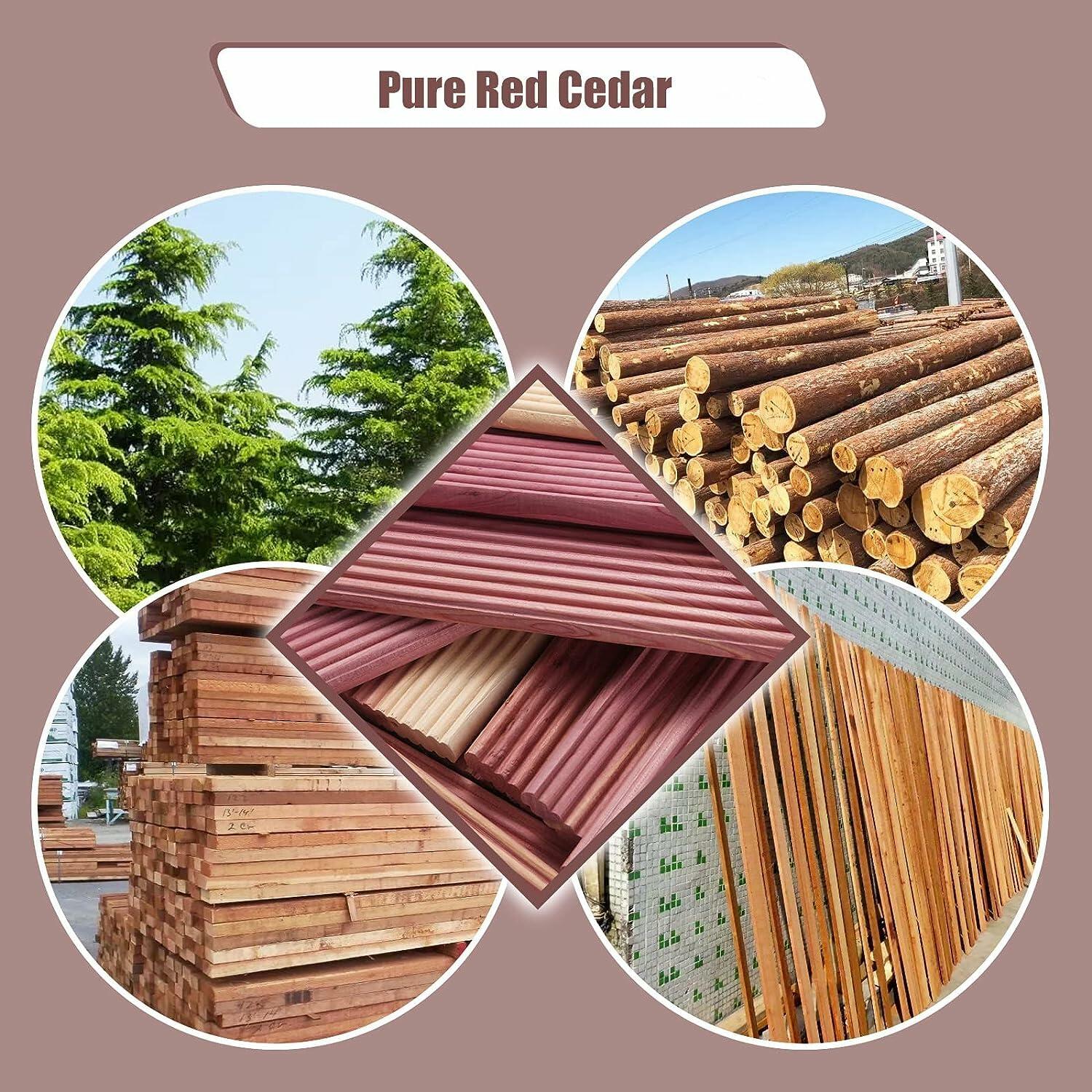 Vazpalas Cedar Blocks Clothes Storage Natural Wood Chips 12 Pack