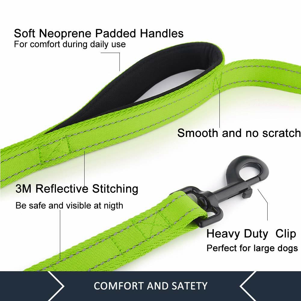 Plutus Pet Double Handle Dog Leash 6ft Heavy Duty Reflective Green