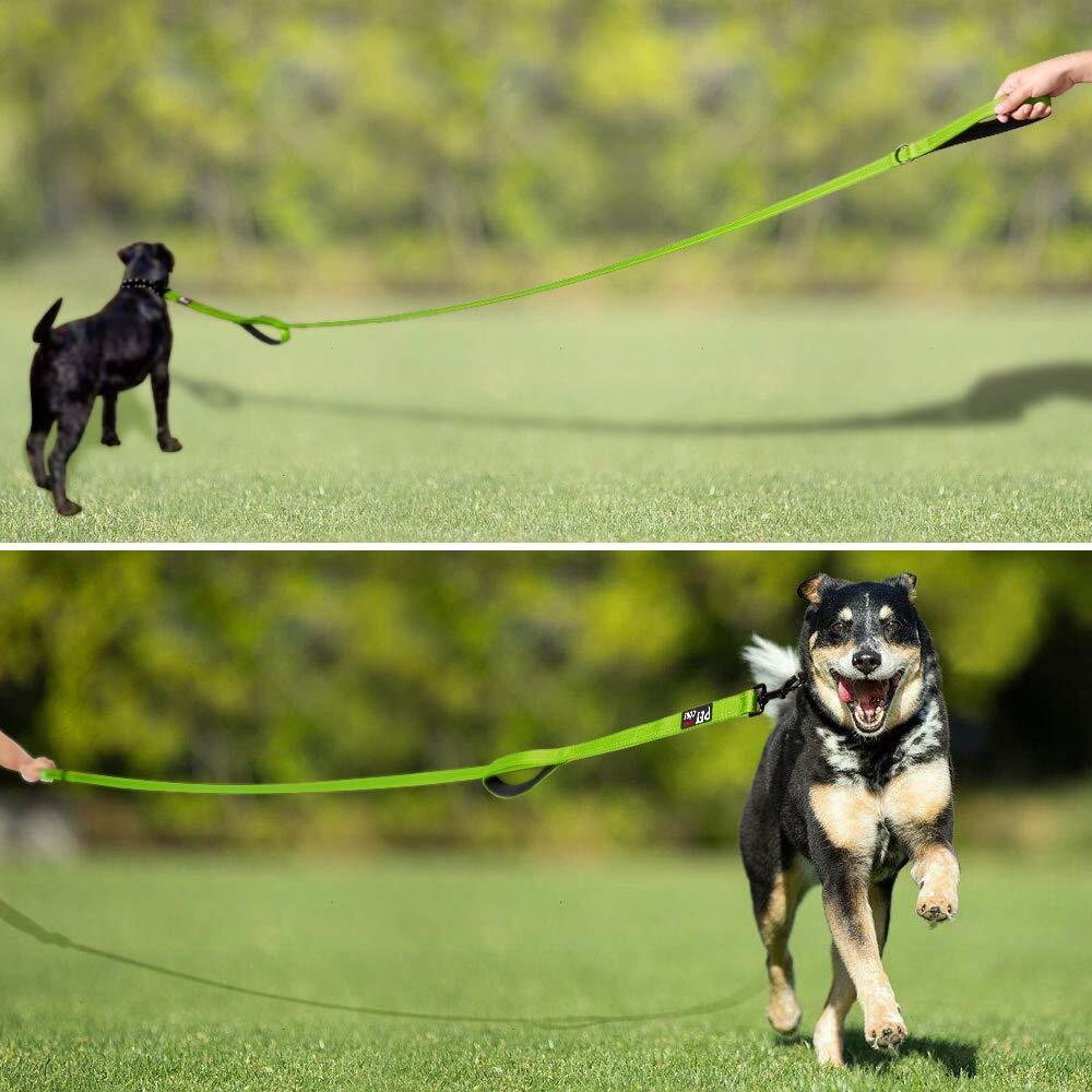 Plutus Pet Double Handle Dog Leash 6ft Heavy Duty Reflective Green