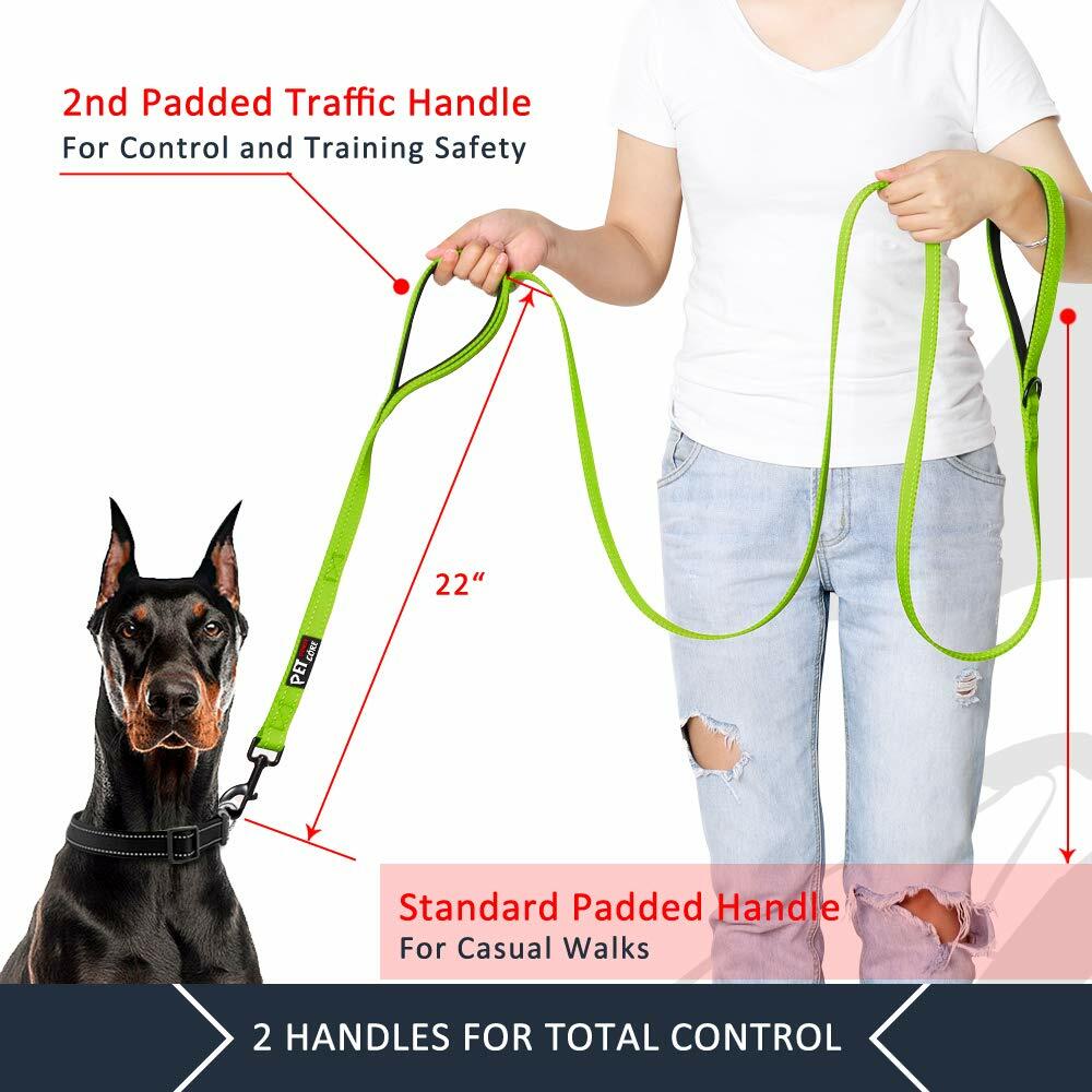 Plutus Pet Double Handle Dog Leash 6ft Heavy Duty Reflective Green