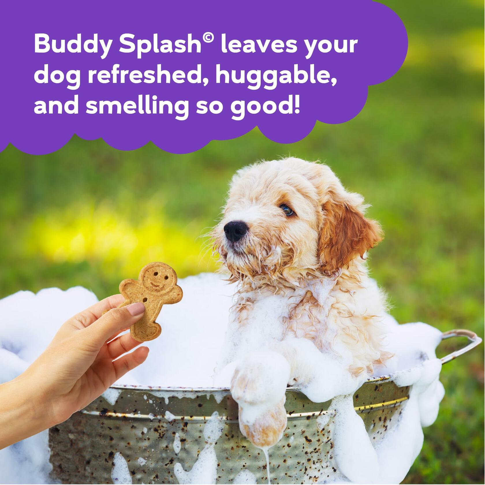 Buddy Splash Spritzer & Conditioner Dog Grooming Lavender Mint 16oz