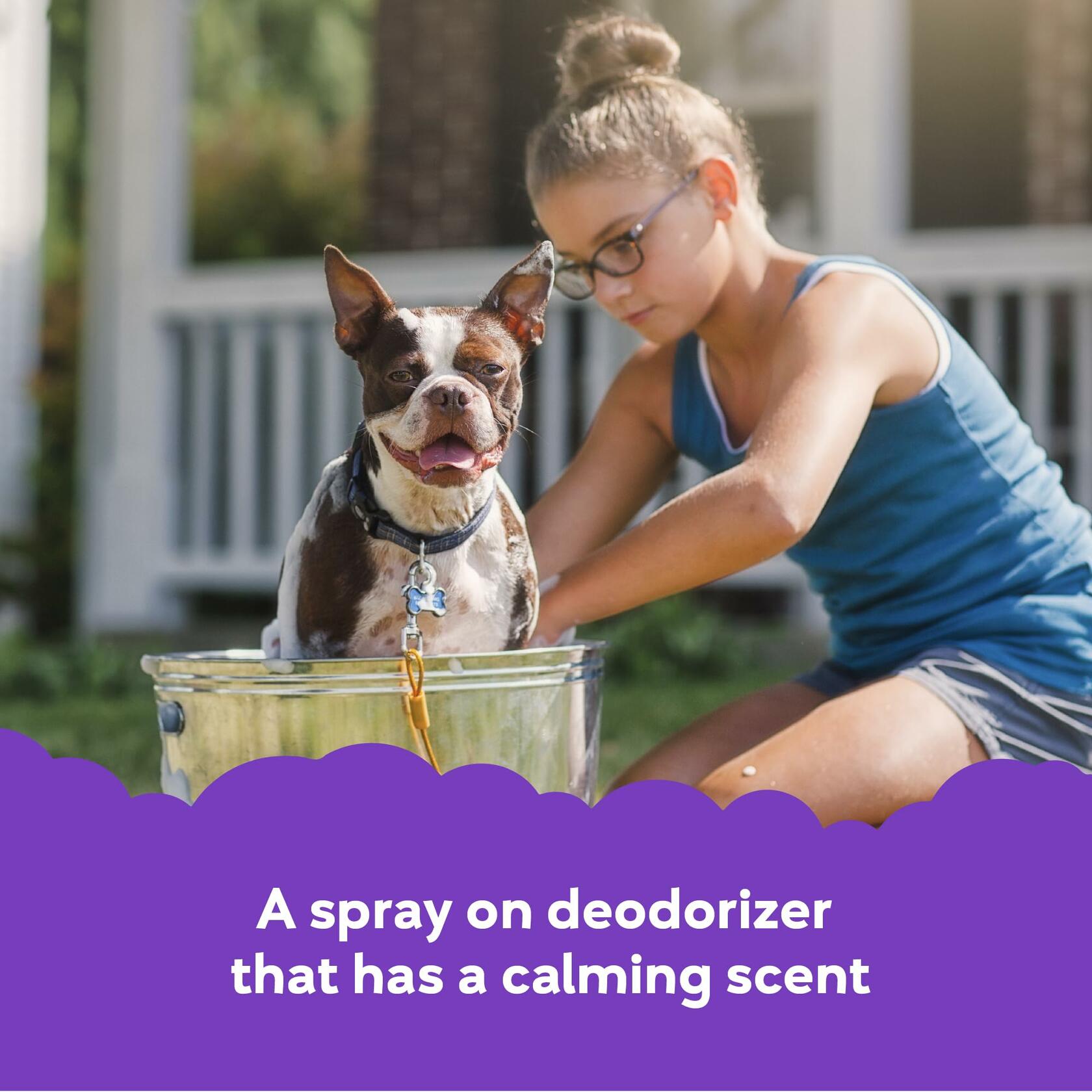 Buddy Splash Spritzer & Conditioner Dog Grooming Lavender Mint 16oz