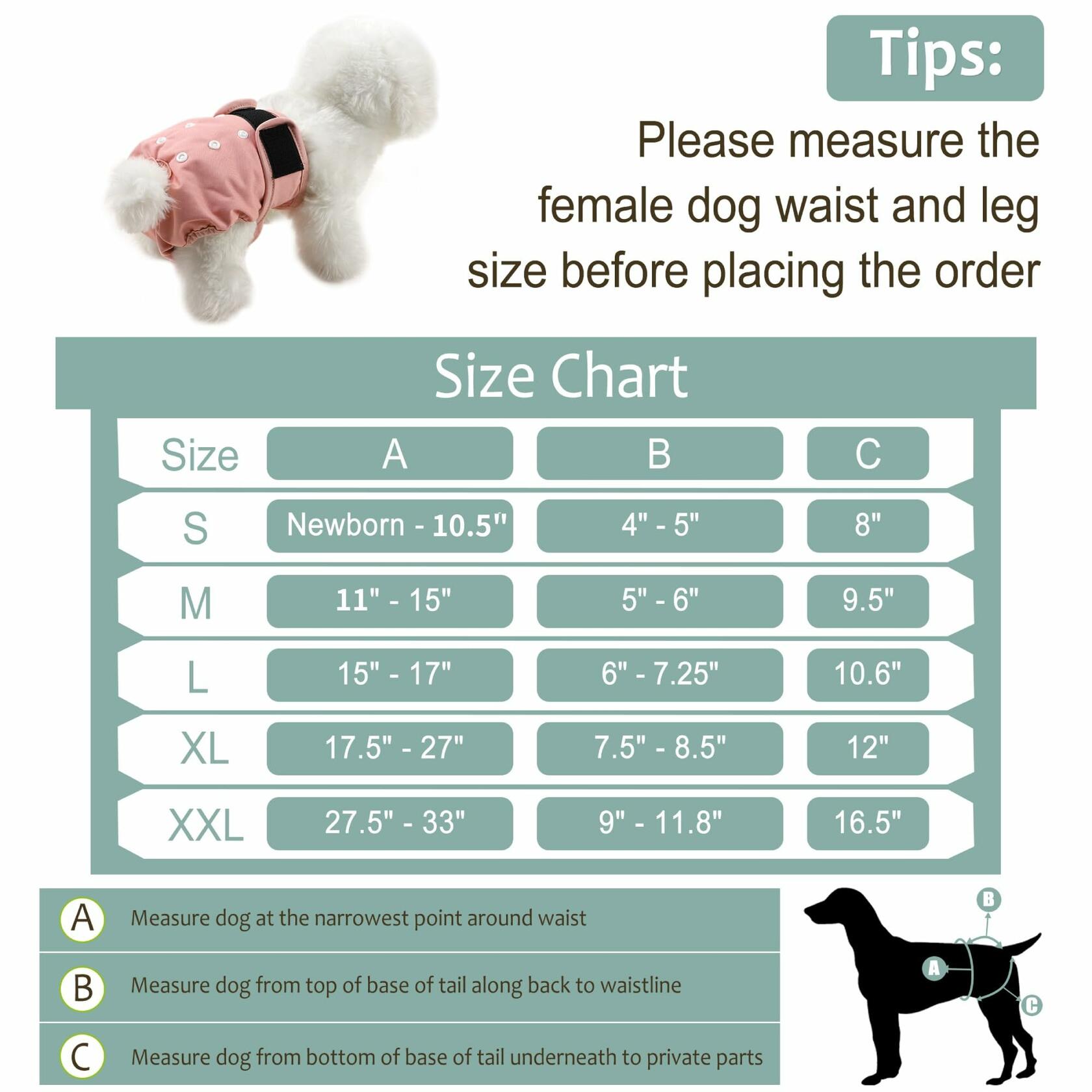 Grecle Washable Female Dog Diapers - Reusable, Adjustable, Absorbent, L