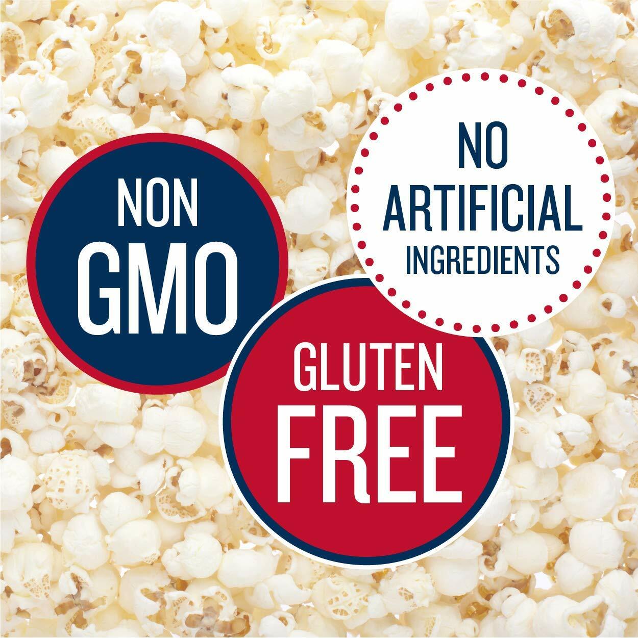 SkinnyPop Original Popcorn 4.4oz Healthy Gluten-Free Snack Bag