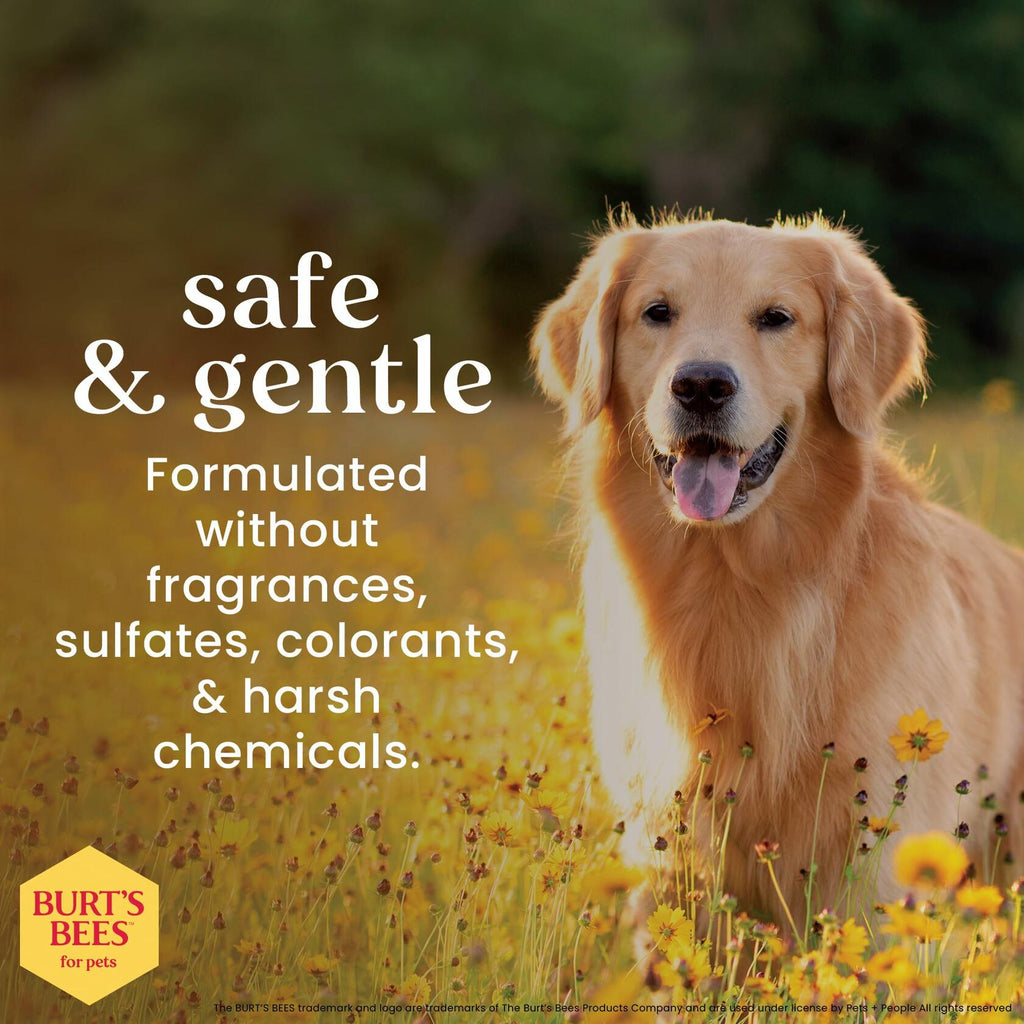 Burt's Bees Pets Eye & Ear Cleansing Wipes Fragrance-Free 100 Count