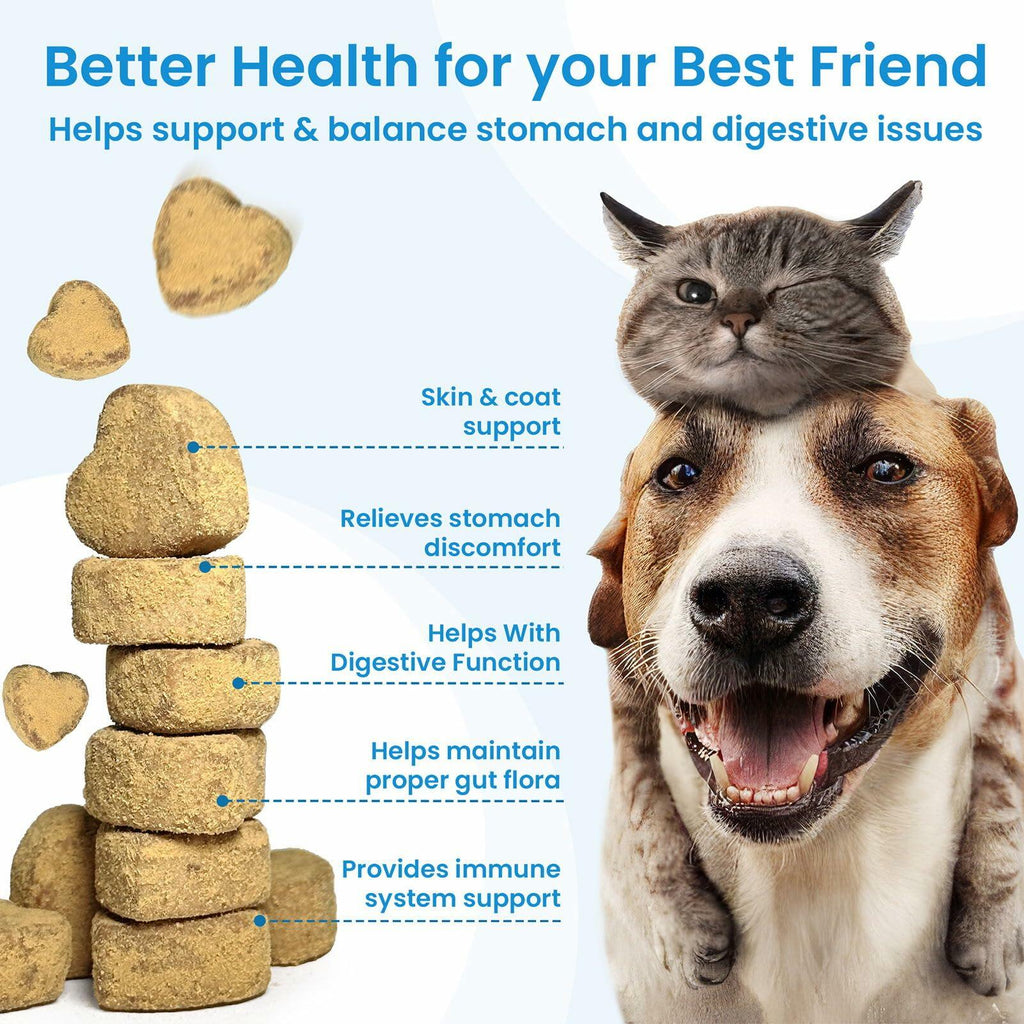 Bighero Probiotics for Dogs Digestive Gut Health Soft Chews 180 Ct