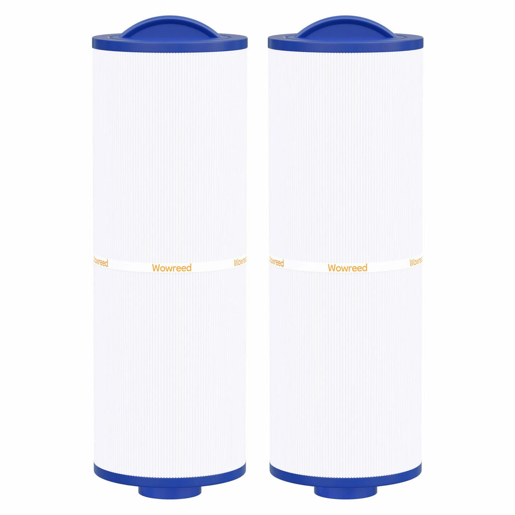 Wowreed Spa Filter Compatible PWW50L Rising Dragon 50 50 sq ft 2 Pack