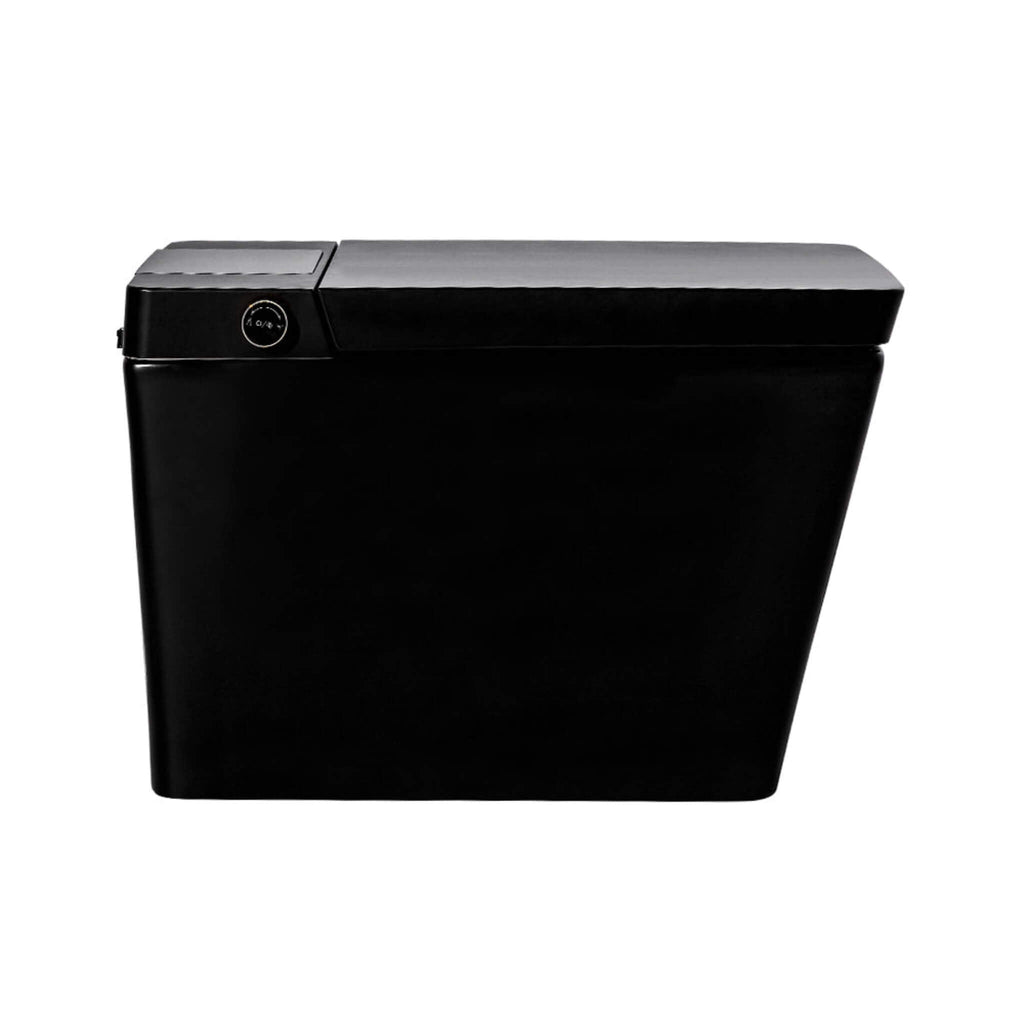 Alora Premium Multifunctional Single-Piece Automatic Smart Toilet With Remote Control, Matte Black (96471352)