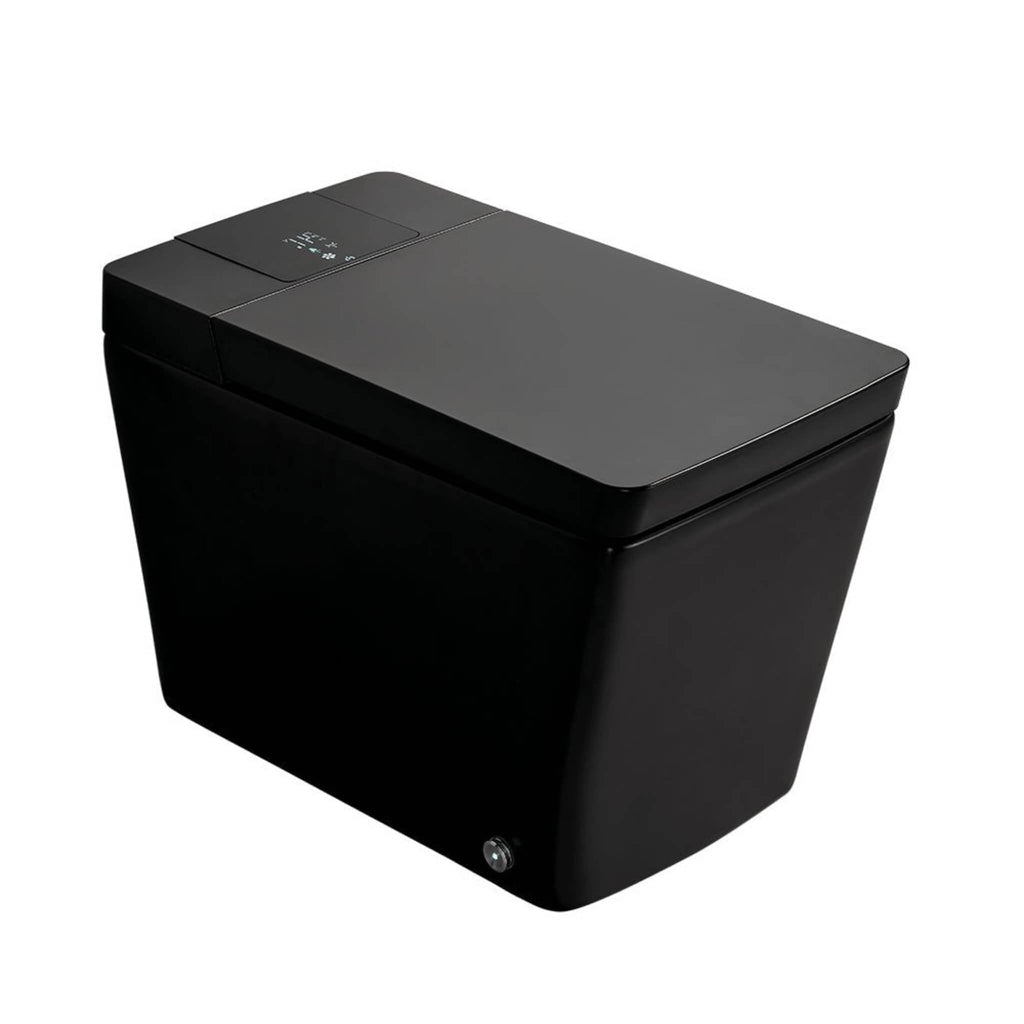 Alora Premium Multifunctional Single-Piece Automatic Smart Toilet With Remote Control, Matte Black (96471352)