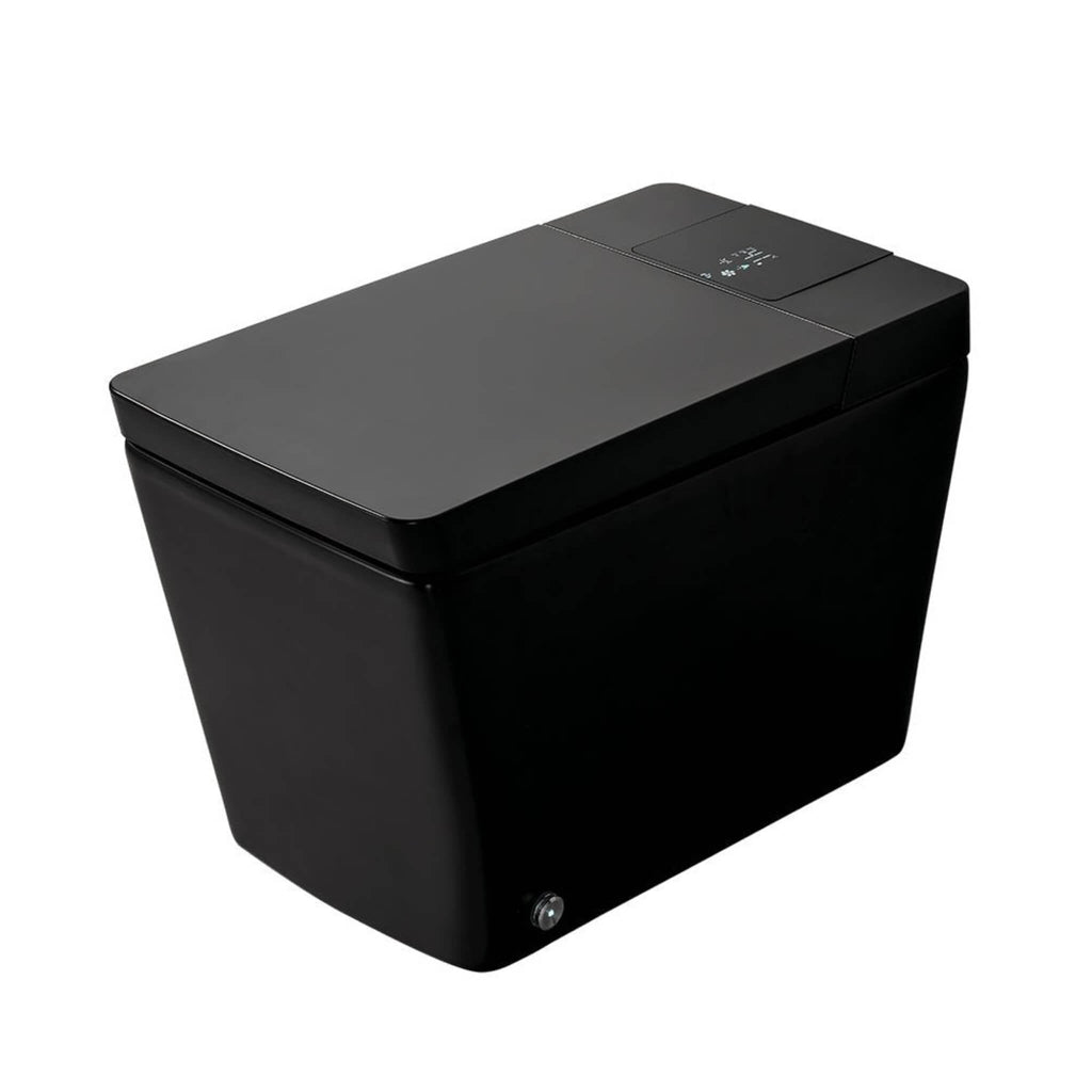 Alora Premium Multifunctional Single-Piece Automatic Smart Toilet With Remote Control, Matte Black (96471352)