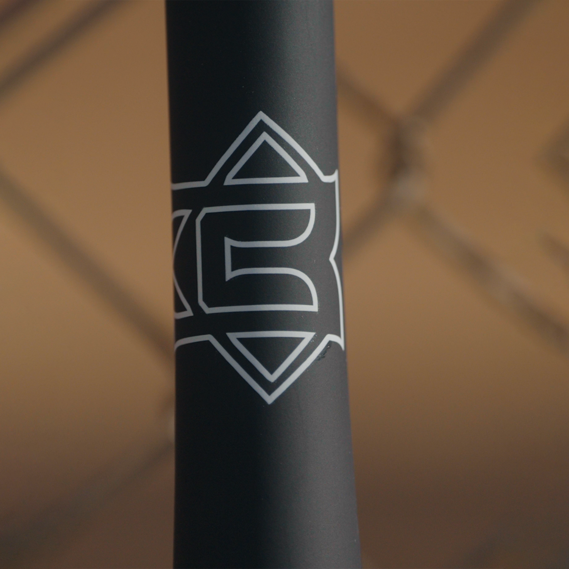 The Racket Fungo