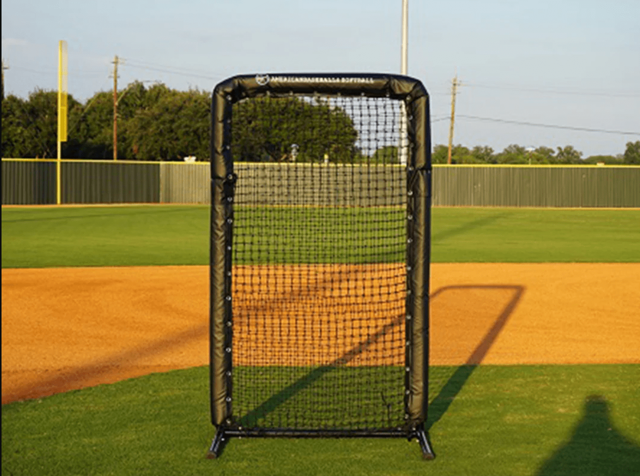 Pro 6 x 4 Safety Screen | #60 Netting