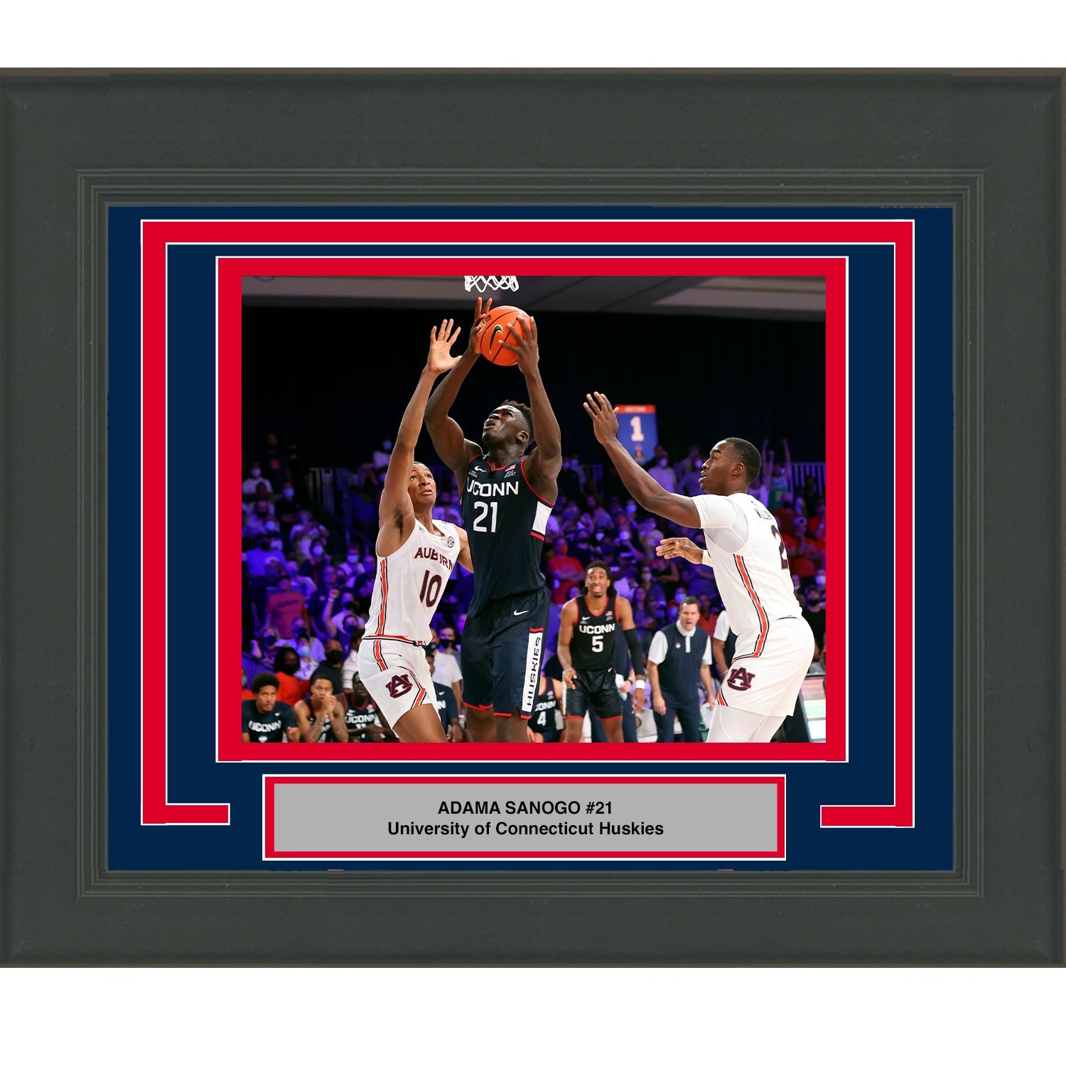 Framed Adama Sanogo University of Connecticut 10x8 NCAA Basketball Photo