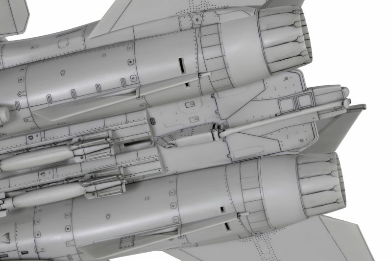 Tamiya 1/72 Grumman F-14D Tomcat Plastic Model 60795