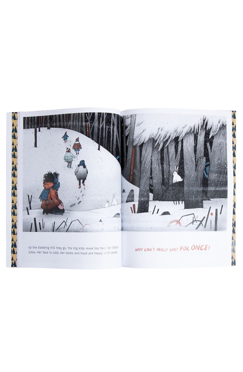 The Mitten Thief Children's Book
