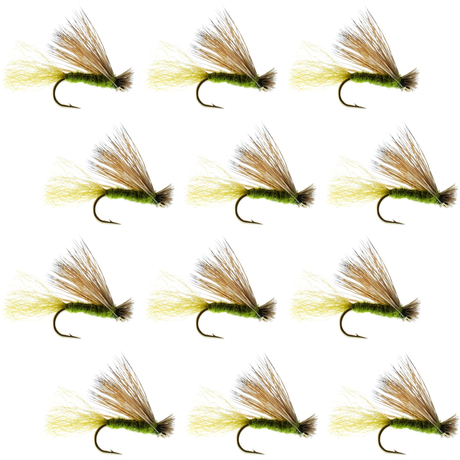 Olive X Caddis Emerging Caddis Adult Trout Dry Fly - 1 Dozen Flies Hook Size 16