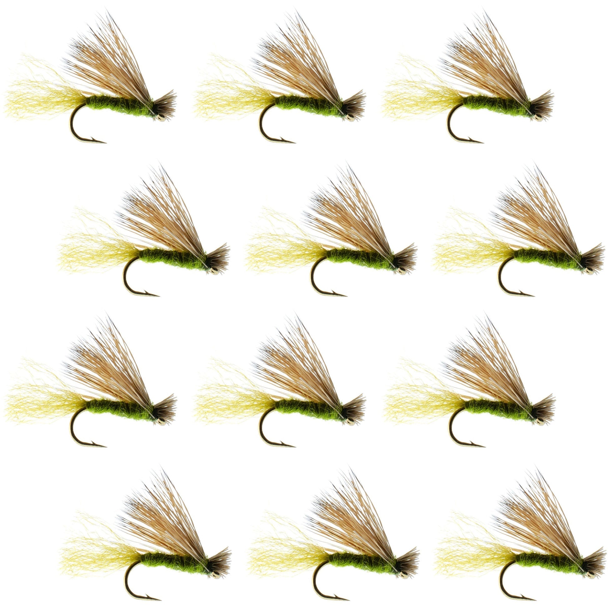 Olive X Caddis Emerging Caddis Adult Trout Dry Fly - 1 Dozen Flies Hook Size 14